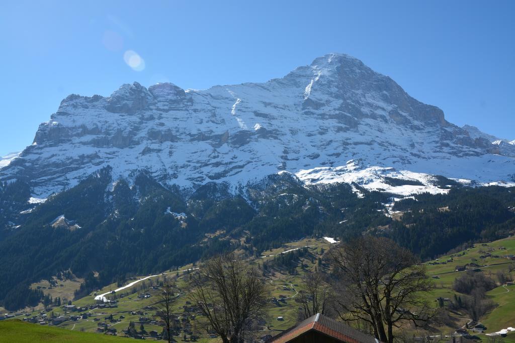 Apartment Schneerose - Griwa Rent Ag Grindelwald Exterior photo